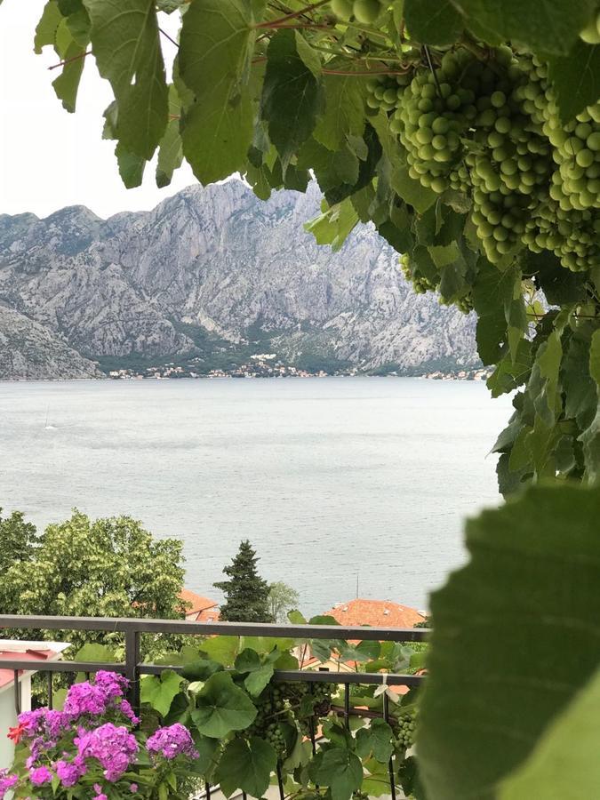 Vasko & Jana Apartman Kotor Kültér fotó